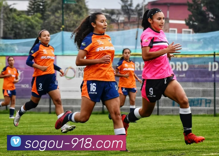 博天堂发展历程